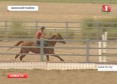 Верховая езда - новая мода в Минске
