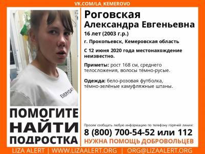В Кузбассе волонтёры просят помощи в поисках без вести пропавшей 16-летней девушки