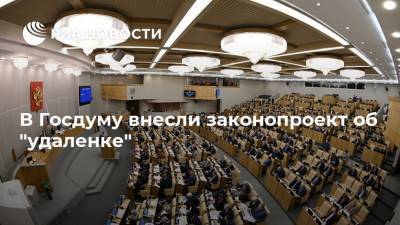 В Госдуму внесли законопроект об "удаленке"