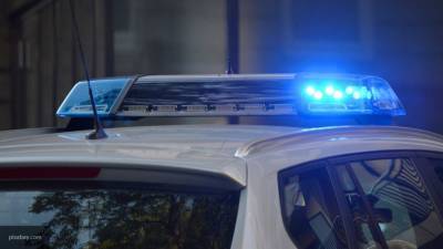 Водитель и пассажир Mercedes напали на полицейских в Петербурге
