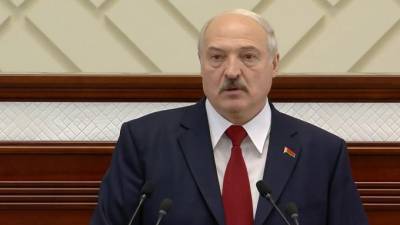 В Белоруссии задержан член инициативной группы противников Лукашенко