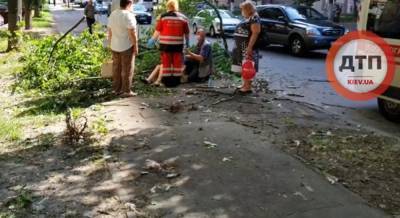 В Киеве на девушку упало дерево, ее забрала скорая (видео)