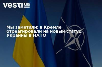 Мы заметили: в Кремле отреагировали на новый статус Украины в НАТО