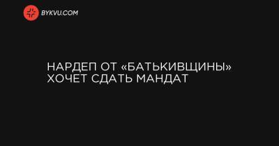 Нардеп от «Батькивщины» хочет сдать мандат