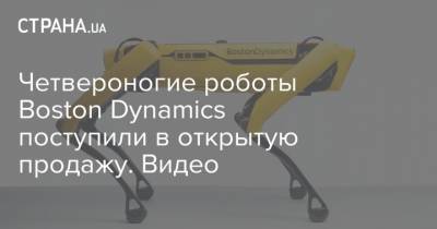 Четвероногие роботы Boston Dynamics поступили в открытую продажу. Видео