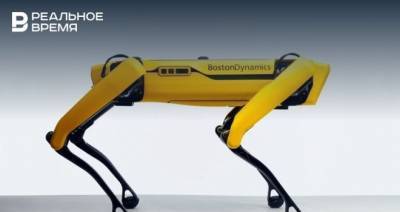 Робот-собака Boston Dynamics начал продаваться за 5 млн рублей — изначально его создавали только для военных