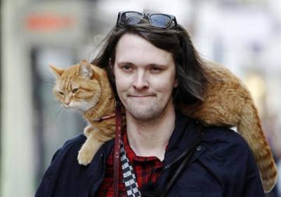 В Великобритании скончался знаменитый рыжий кот Боб