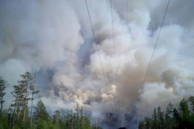Ученые прогнозируют крупные природные пожары в регионах России