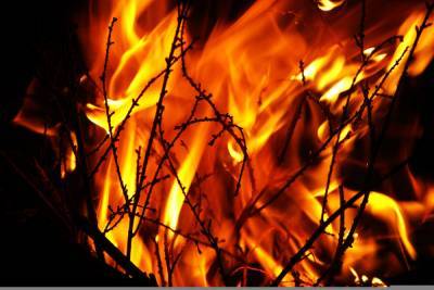 В Бурятии сухие грозы обернулись пятью лесными пожарами