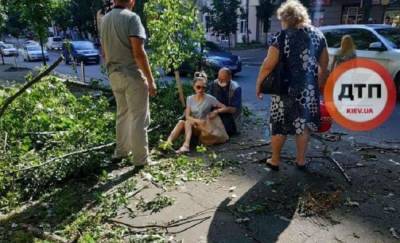 В Киеве дерево упало на проходящую по улице девушку