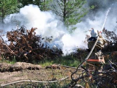 Горят леса Камчатки — площадь пожаров достигла 870 га