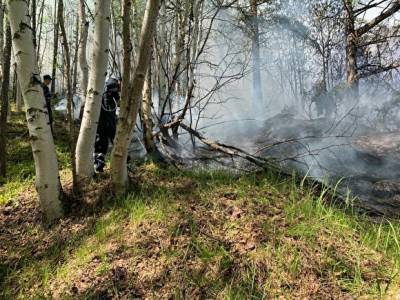 На Камчатке горят леса. Площадь пожаров — 870 гектаров