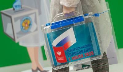 Жителям Москвы предлагают по 50 рублей за голос в поддержку поправок в Конституцию