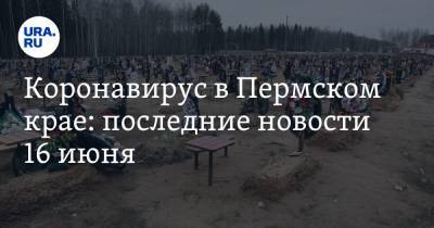 Коронавирус в Пермском крае: последние новости 16 июня. Кладбища снова открыли