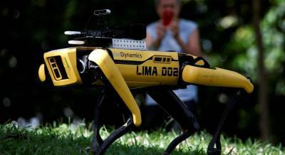 В США стартовали продажи робособаки от Boston Dynamics (видео)
