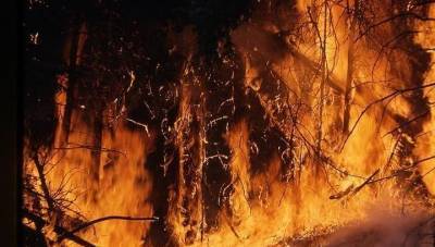 В Бурятии ликвидировали лесные пожары в пяти районах республики