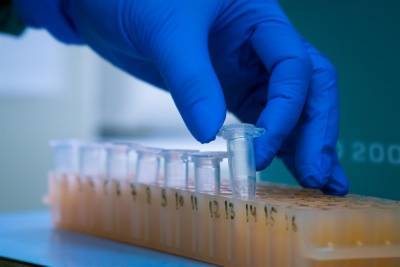 В Томской области за сутки вновь подтвердили 56 случаев заболевания коронавирусом