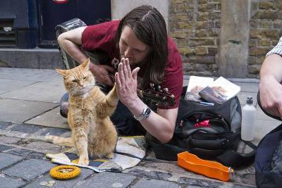В Великобритании умер знаменитый уличный кот Боб
