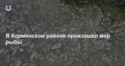 В Кормянском районе произошел мор рыбы
