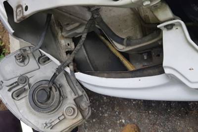 Перепуганной россиянке разобрали машину из-за притаившейся внутри большой змеи