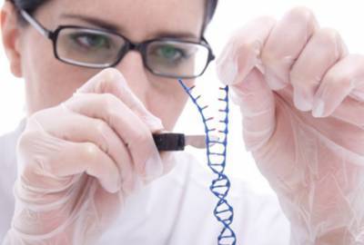 Ученые из США представили прототип файловой системы на ДНК