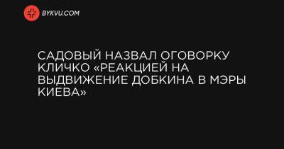 Садовый назвал оговорку Кличко «реакцией на выдвижение Добкина в мэры Киева»