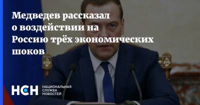 Медведев рассказал о воздействии на Россию трёх экономических шоков