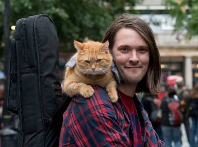 Умер уличный кот по кличке Боб, ставший героем книги-бестселлера и фильма
