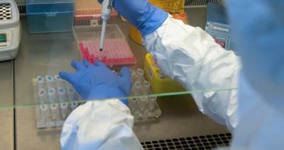 Клинические исследования вакцины от коронавируса в "Векторе" начнутся 15 июля