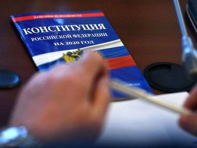 СМИ: в Москве скупают онлайн-голоса в поддержку поправок в Конституцию за 50 рублей