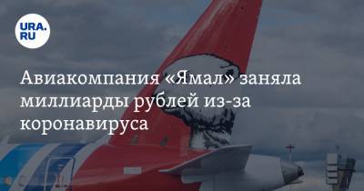 Авиакомпания «Ямал» заняла миллиарды рублей из-за коронавируса