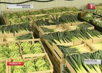 27 тонн овощей и фруктов конфисковали таможенники в Кличевском районе