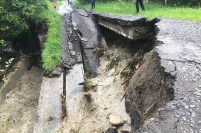 На Закарпатье из-за сильных ливней рухнул мост: фото последствий