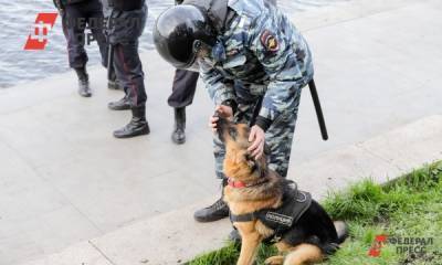 Силовики предотвратили 43 теракта в РФ за год