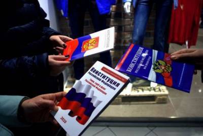Жители Красногорска попросили провести голосование по Конституции в СНТ