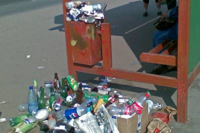 Генпрокурор РФ заявил о системных нарушениях в мусорной реформе