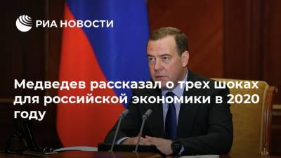 Медведев рассказал о трех шоках для российской экономики в 2020 году