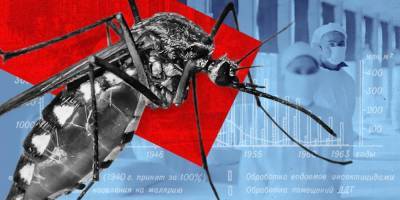 40 лет войны с комарами: как в СССР победили малярию