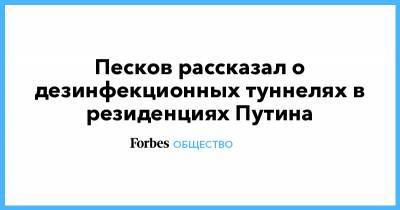 Песков рассказал о дезинфекционных туннелях в резиденциях Путина