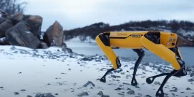 Boston Dynamics начала коммерческие продажи робота-собаки