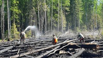 Режим ЧС введен на Камчатке из-за природных пожаров