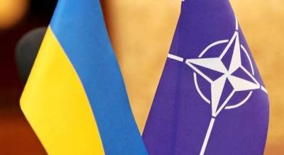 Atlantic Council: НАТО предоставил Украине новый статус, что дальше?