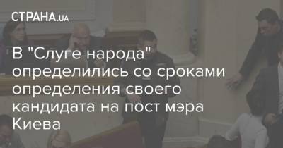 В "Слуге народа" определились со сроками определения своего кандидата на пост мэра Киева