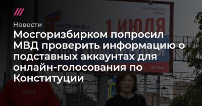 Мосгоризбирком попросил МВД проверить информацию о подставных аккаунтах для онлайн-голосования по Конституции