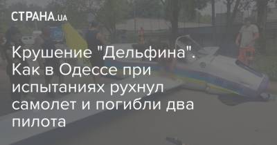 Крушение "Дельфина". Как в Одессе при испытаниях рухнул самолет и погибли два пилота