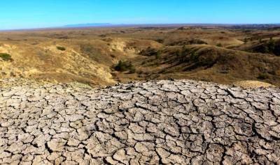 Всемирный день борьбы с засухой