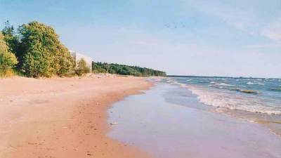 Роспотребнадзор обозначил сроки открытия пляжей в Ленобласти