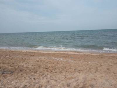 СМИ показали место для недорогого отдыха: безлюдный пляж возле Азовского моря