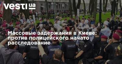 Массовые задержания в Киеве: против полицейского начато расследование