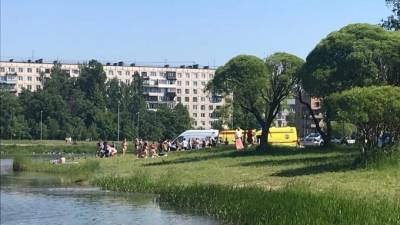 Ребенка спасли после заплыва в пруду Полюстровского парка